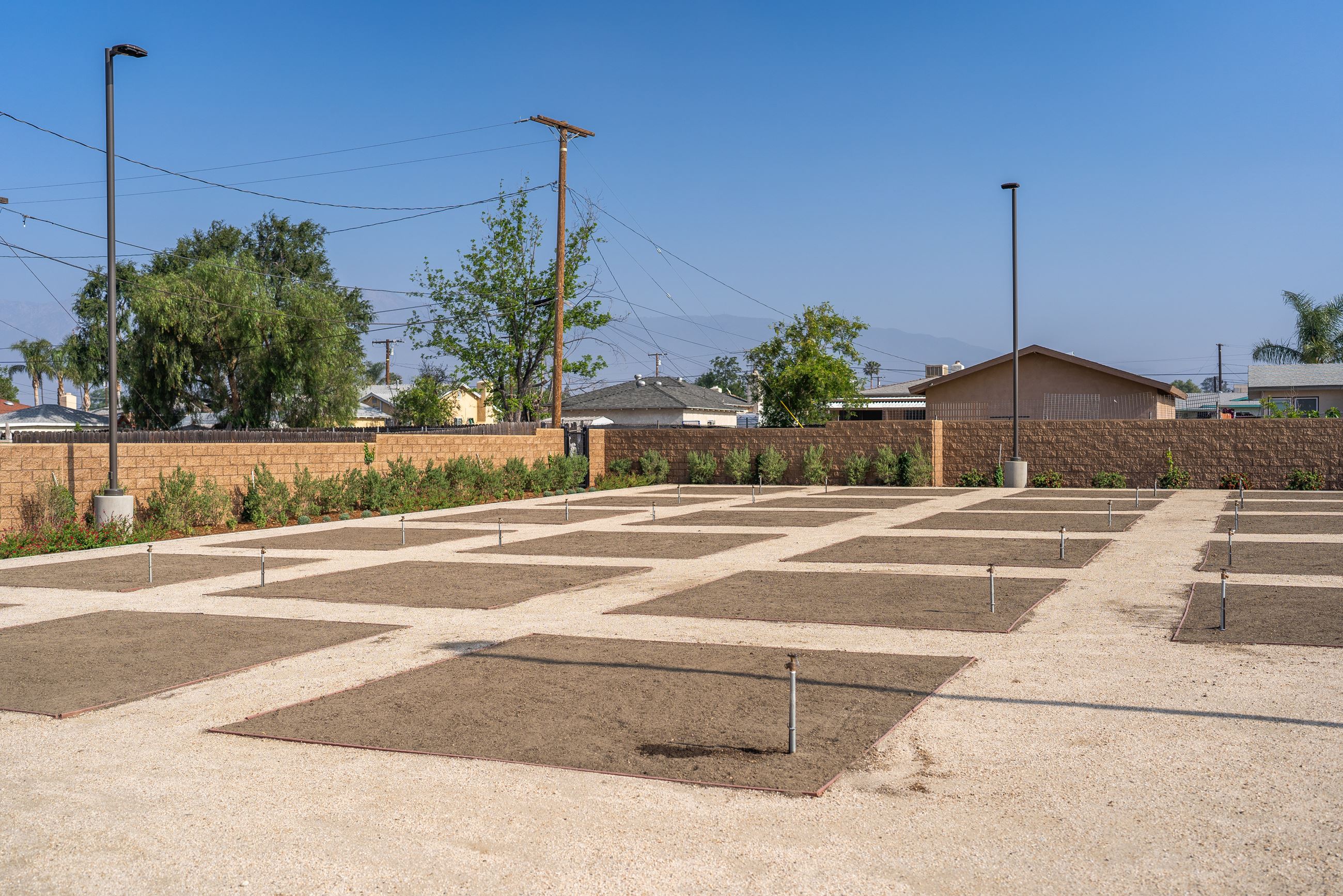 CoF - Central Park Grand Opening-25