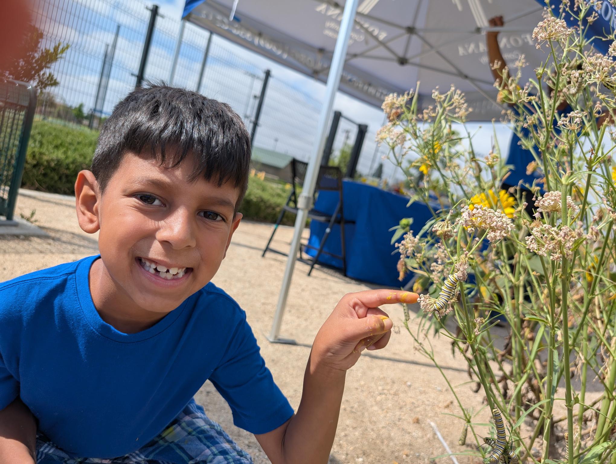 Boy pointing at a caterpillar in the garden